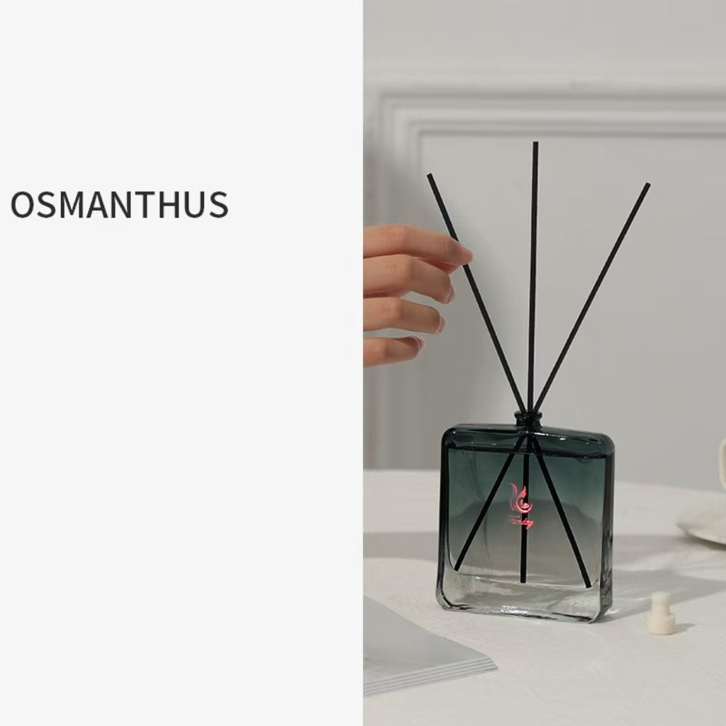 Gradient Square Bottle Reed Diffuser