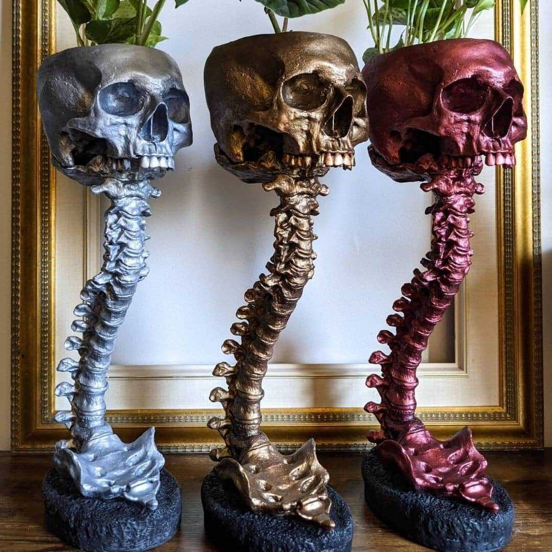Skull Planter & Spine Stand Set – Gothic Succulent Pot Display