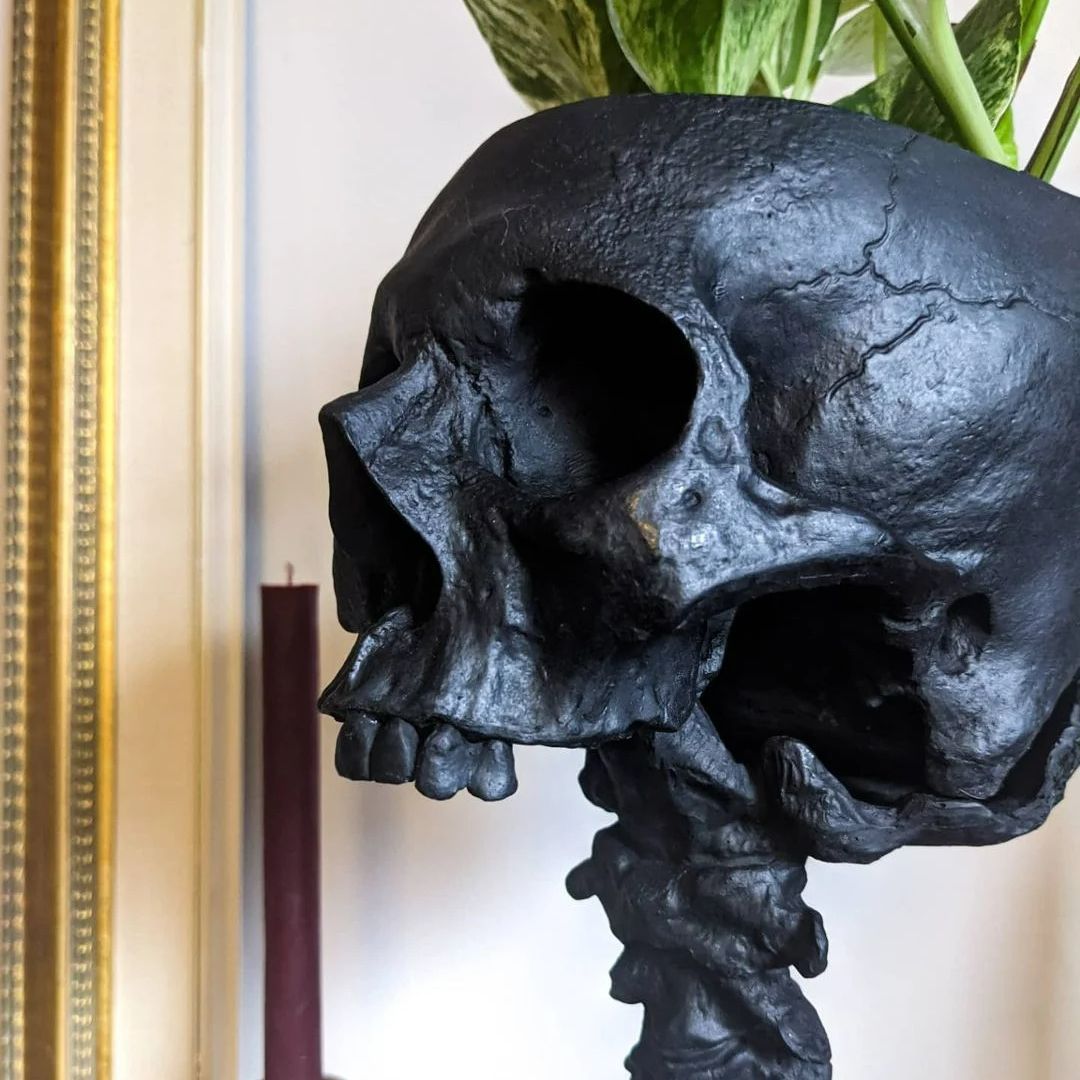 Skull Planter & Spine Stand Set – Gothic Succulent Pot Display