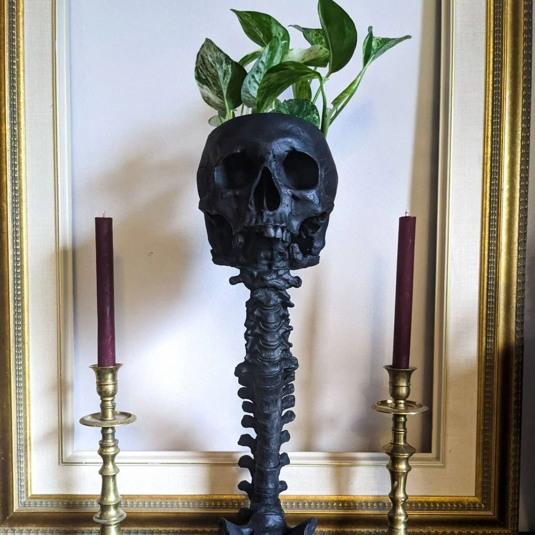 Skull Planter & Spine Stand Set – Gothic Succulent Pot Display