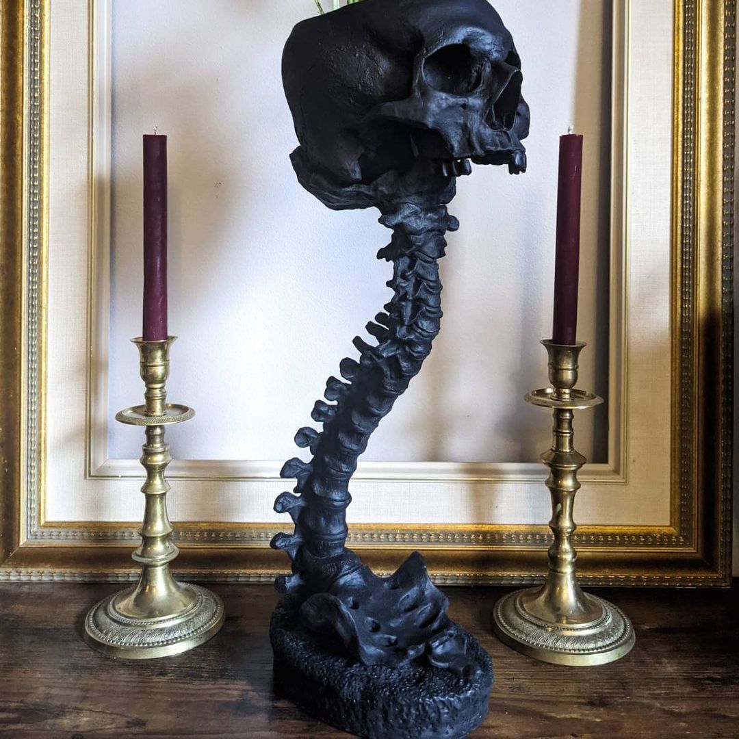 Skull Planter & Spine Stand Set – Gothic Succulent Pot Display